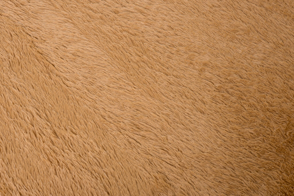 Covor Silk Bej Antiderapant Shaggy