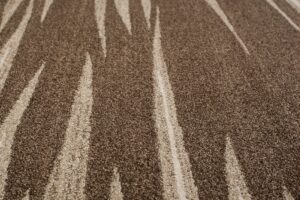 Covor Sari Maro Bej Dungi