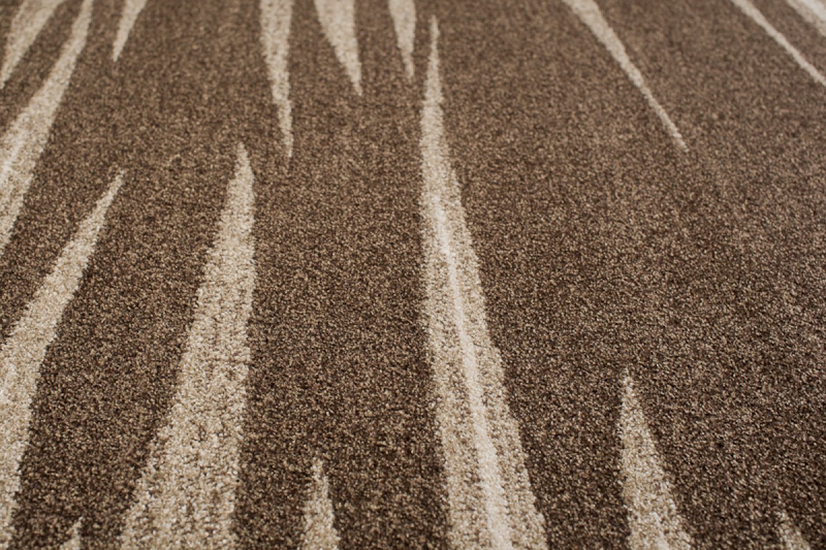 Covor Sari Maro Bej Dungi