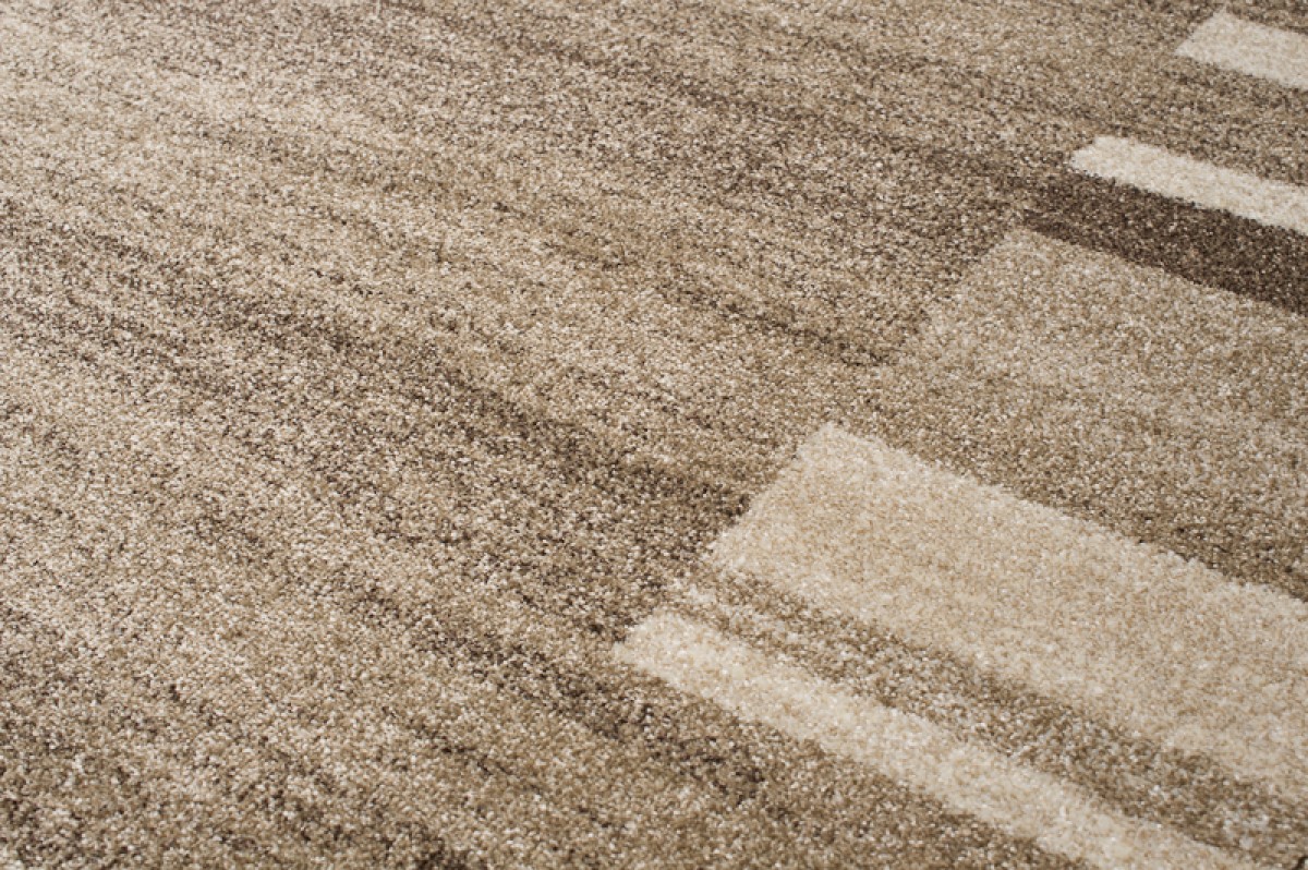 Covor Sari Bej Ramă