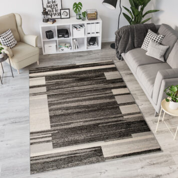 Covor Sari Antracit Bej Ramă