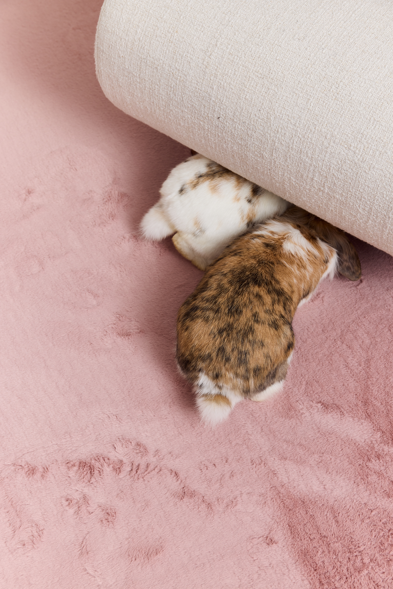 Covor Lumi Pătrat Roz Antiderapant