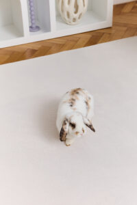 Covor Lumi Crem Antiderapant