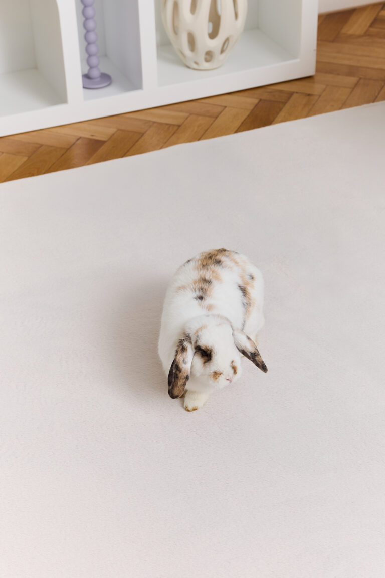 Covor Lumi Crem Antiderapant