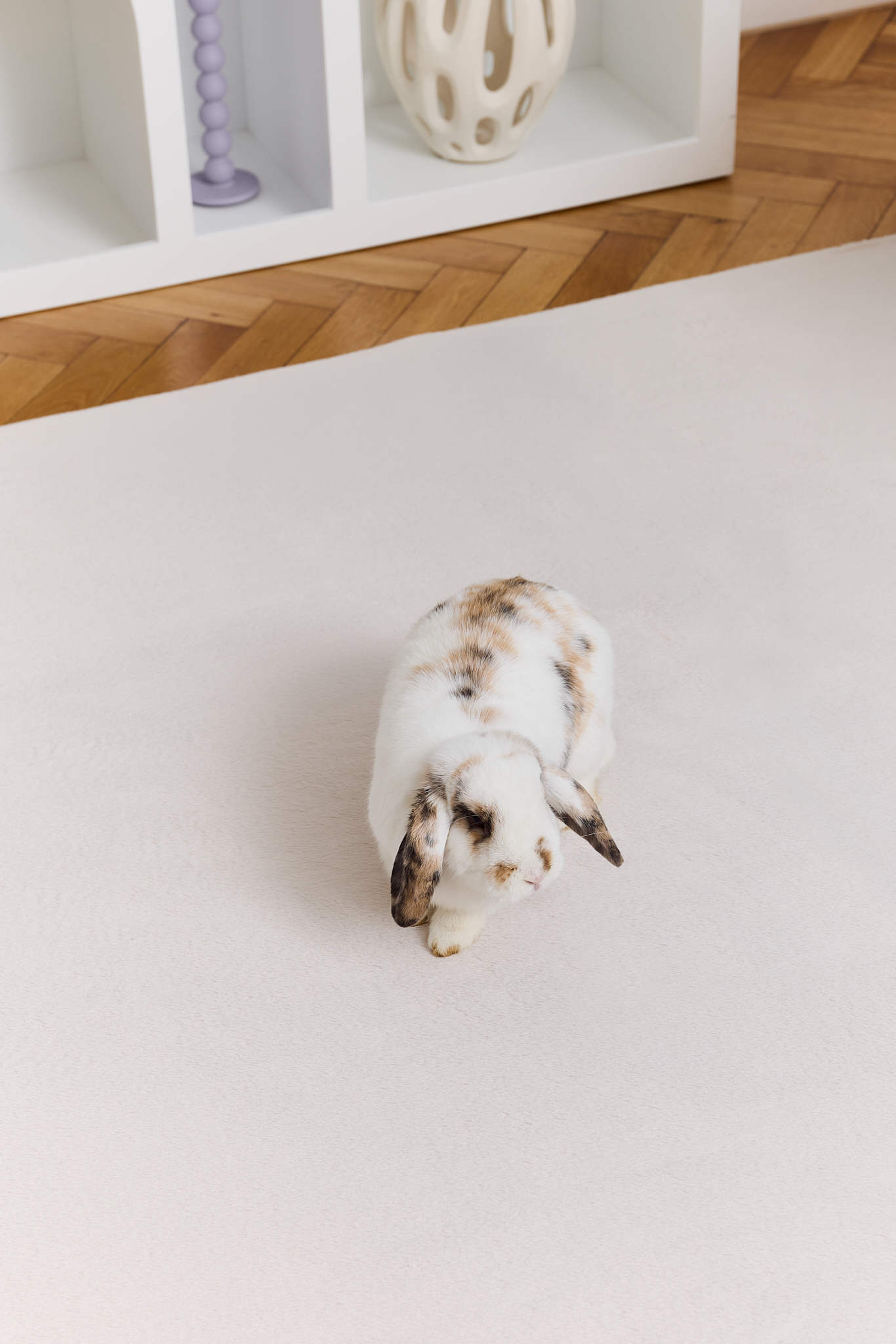 Covor Lumi Crem Antiderapant