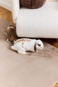 Covor Lumi Maro Antiderapant