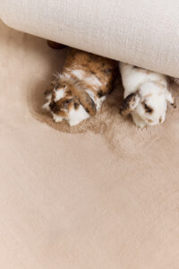 Covor Lumi Bej Antiderapant