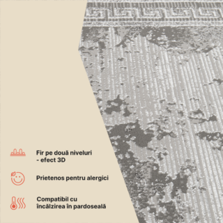 Covor Ares Gri Ramă Efect de Uzură Vintage